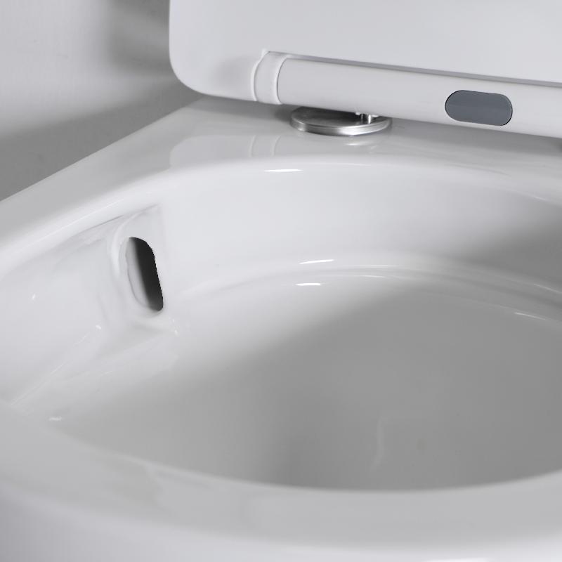 BF2419D Wall-Hung Toilet – Compact Vortex Flush with 4.5L Water Saving Design