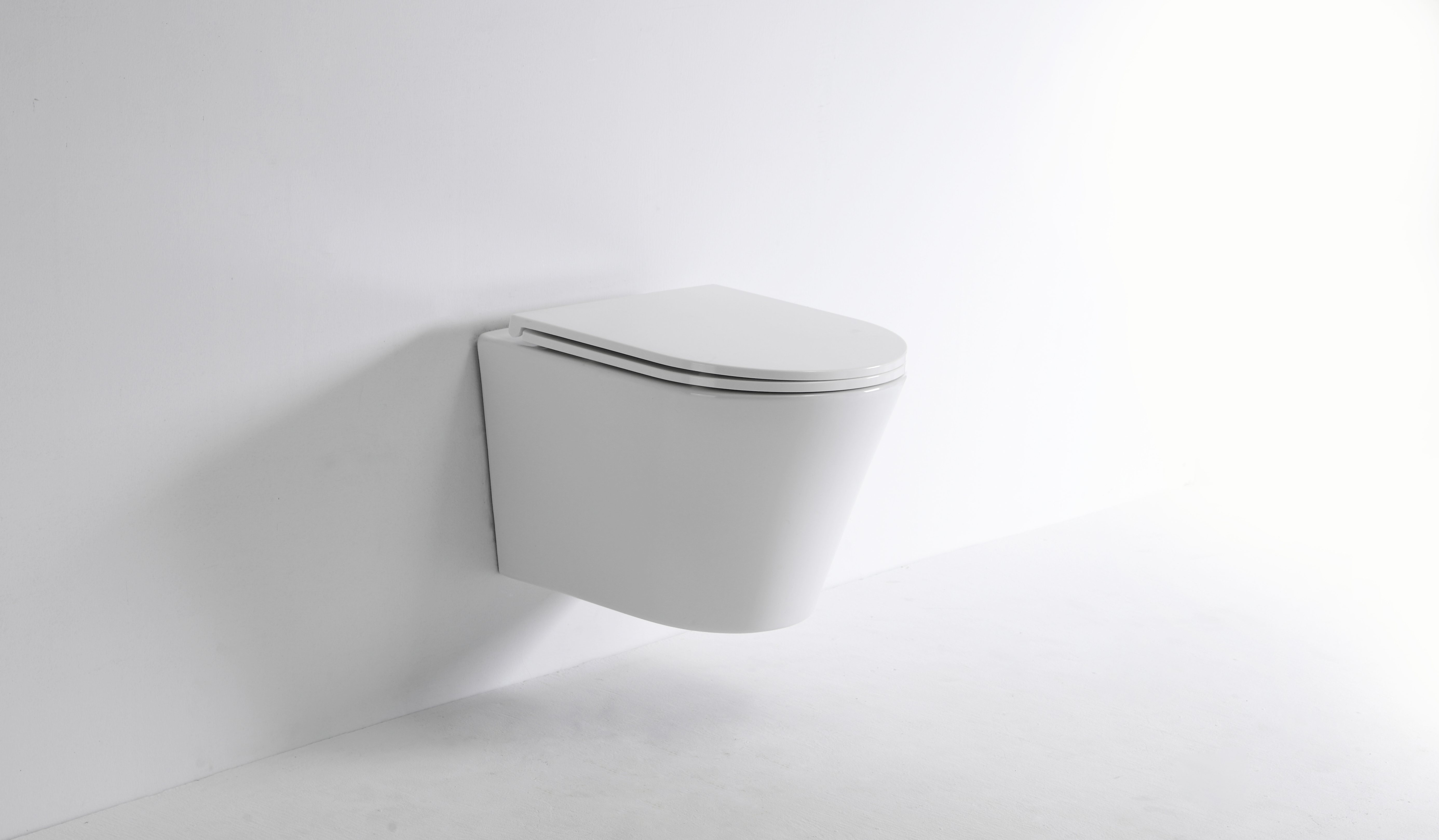 Elegant Curved Wall Hung Toilet 2419E – Silent Soft-Close & Water-Saving Rimless WC