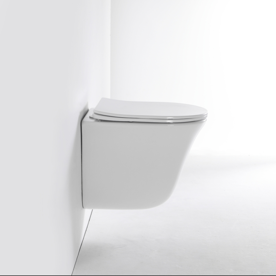 2441D Wall-Hung Toilet – Contemporary Curved Design with Soft-Close Seat