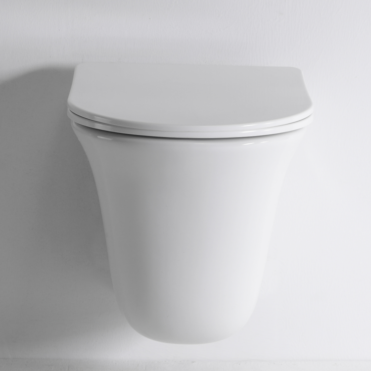Modern Wall Hung Toilet 2441D with Soft-Close Seat & Dual Flush System