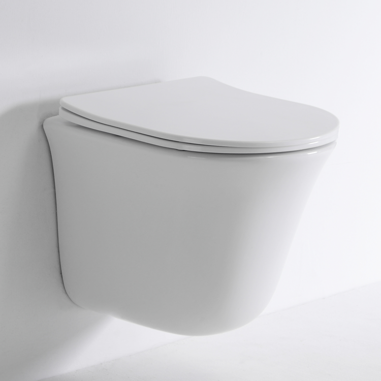 Modern Wall Hung Toilet 2441D with Soft-Close Seat & Dual Flush System