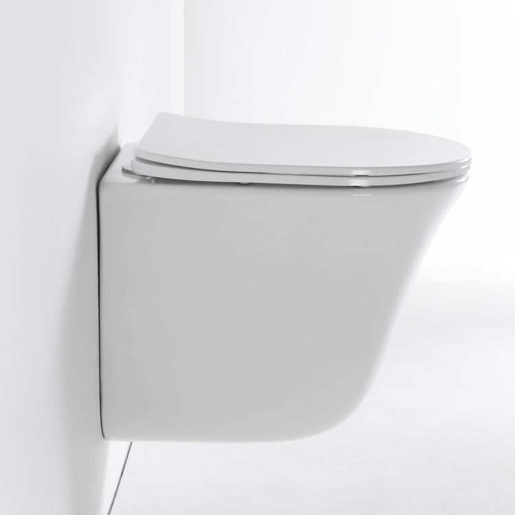 Modern Wall Hung Toilet 2441D with Soft-Close Seat & Dual Flush System