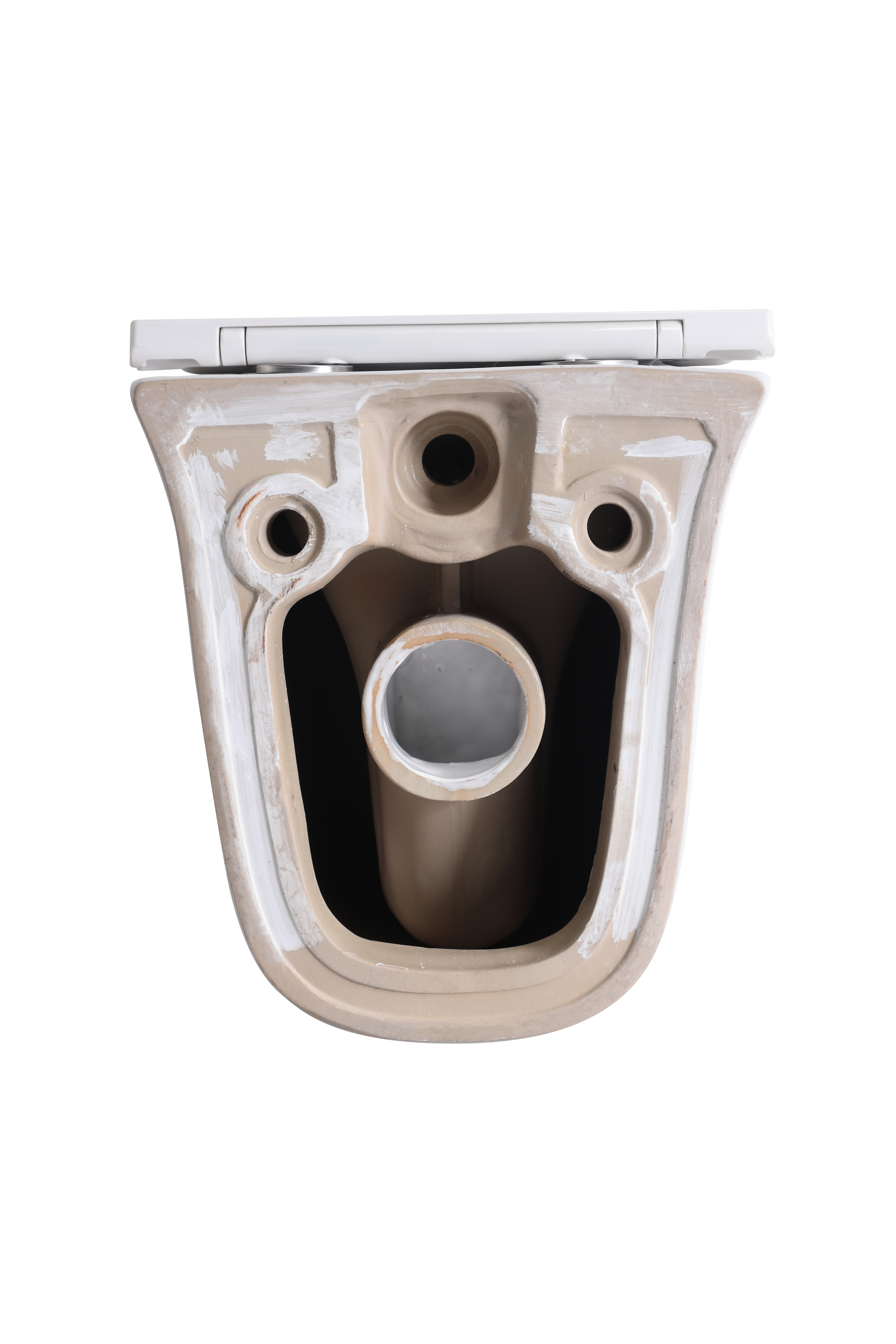 2441D Wall-Hung Toilet – Contemporary Curved Design with Soft-Close Seat