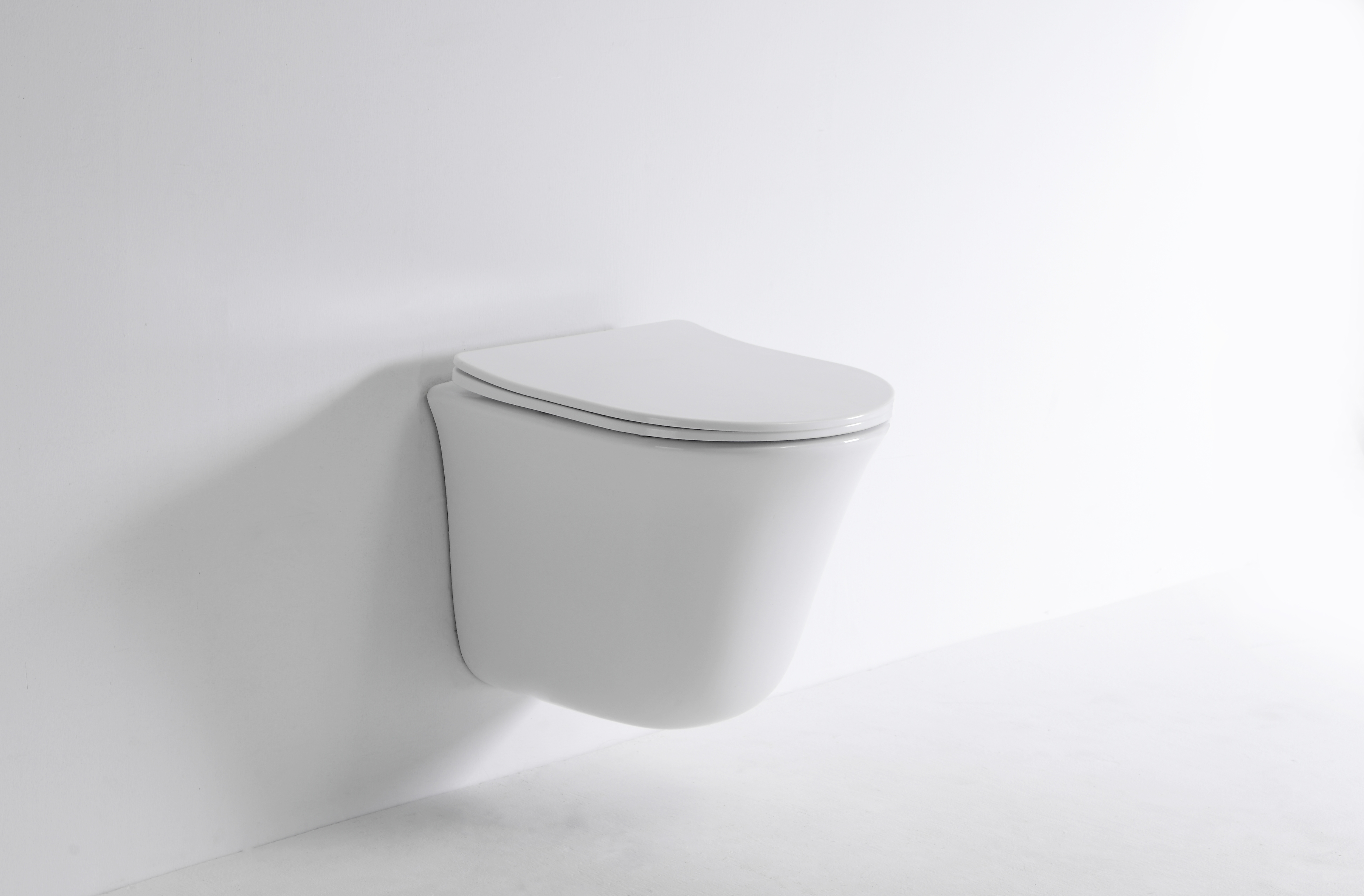 2441D Wall-Hung Toilet – Contemporary Curved Design with Soft-Close Seat