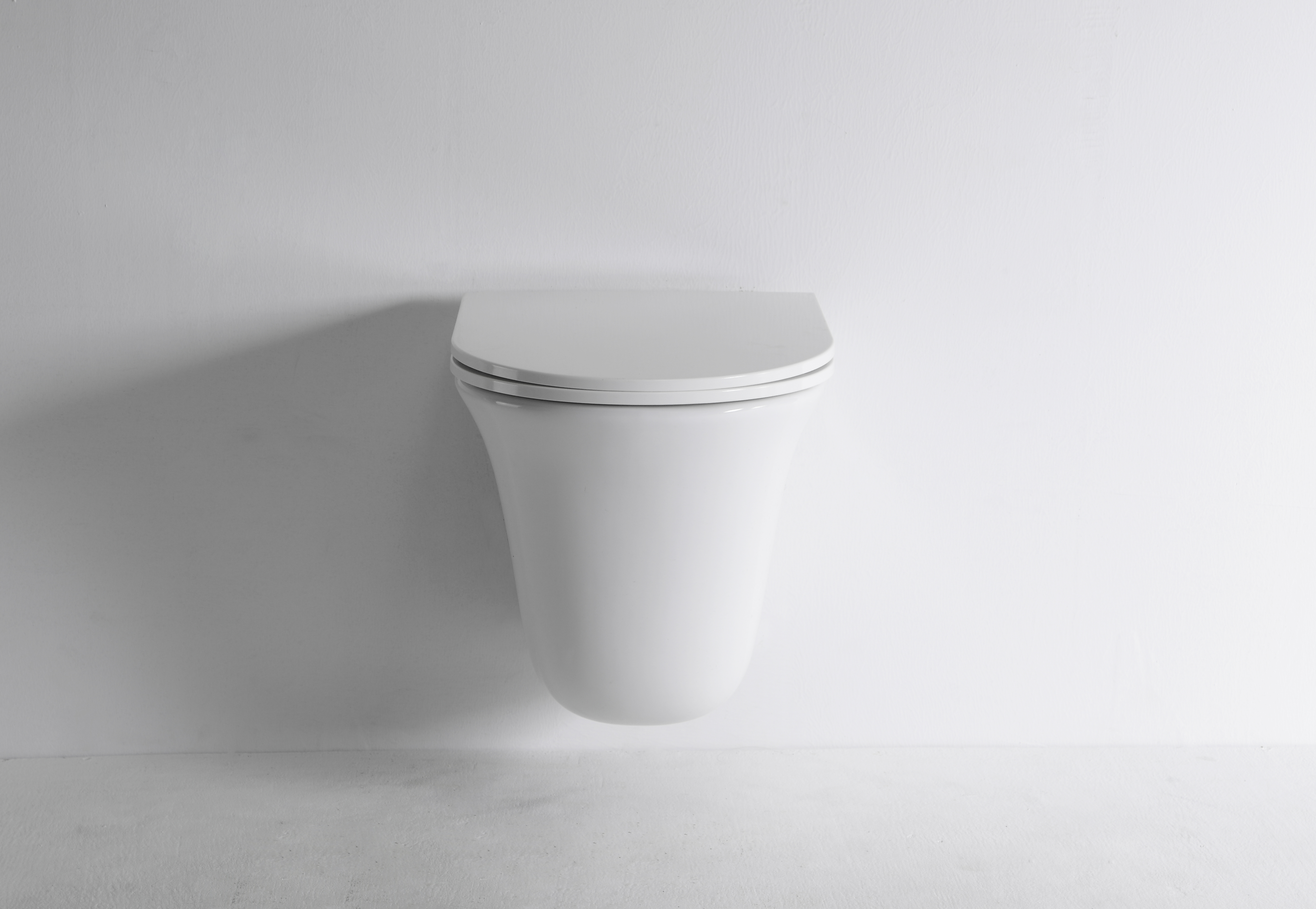 2441D Wall-Hung Toilet – Contemporary Curved Design with Soft-Close Seat