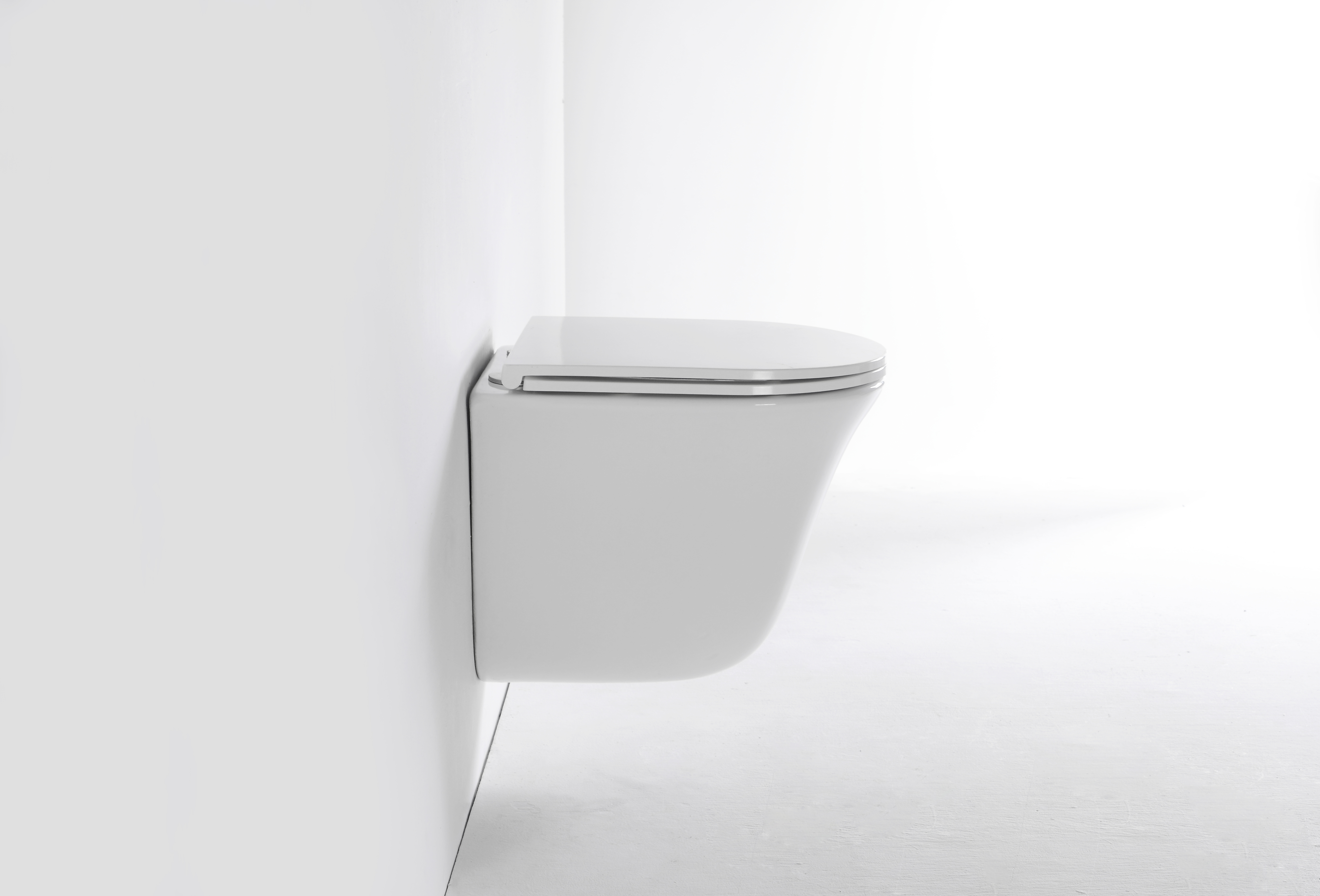 2441E Wall-Hung Toilet