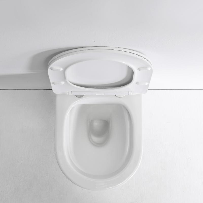 2441E Modern Wall Hung Ceramic Toilet - Silent Dual Flush with Sleek Design