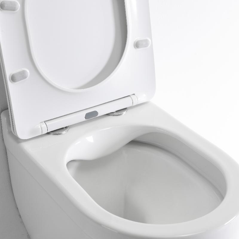 2442D Durable Wall Hung Ceramic Toilet with Quiet Flush