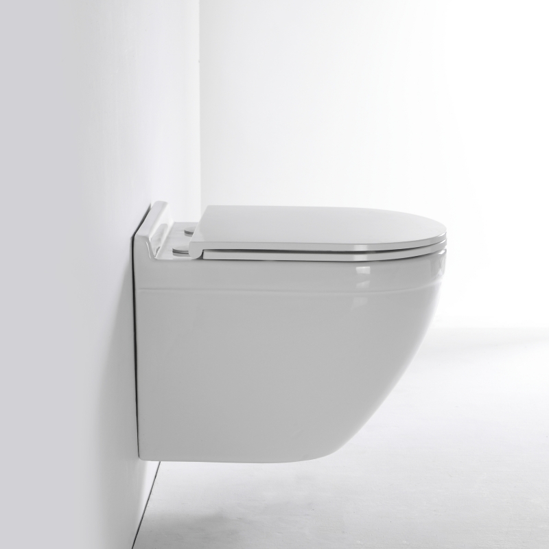 2442E Wall-Hung Toilet