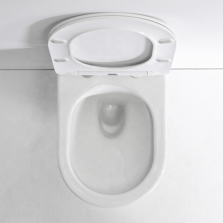 Modern Wall Hung Toilet with Soft Close Seat – Space-Saving Ceramic WC