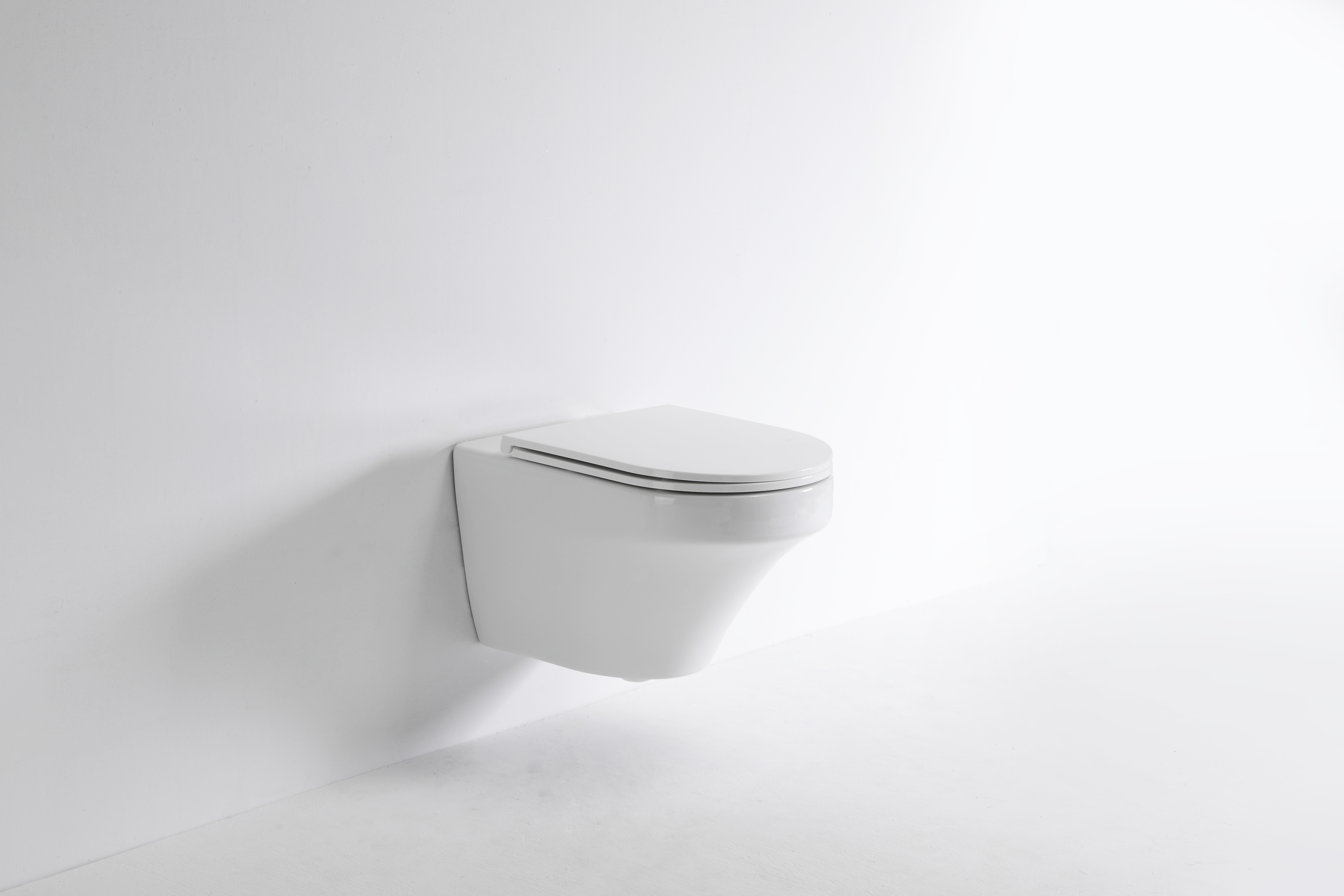 Curved Wall-Hung Toilet 2462E – Modern Ceramic WC with Soft Close Seat & Rimless Design
