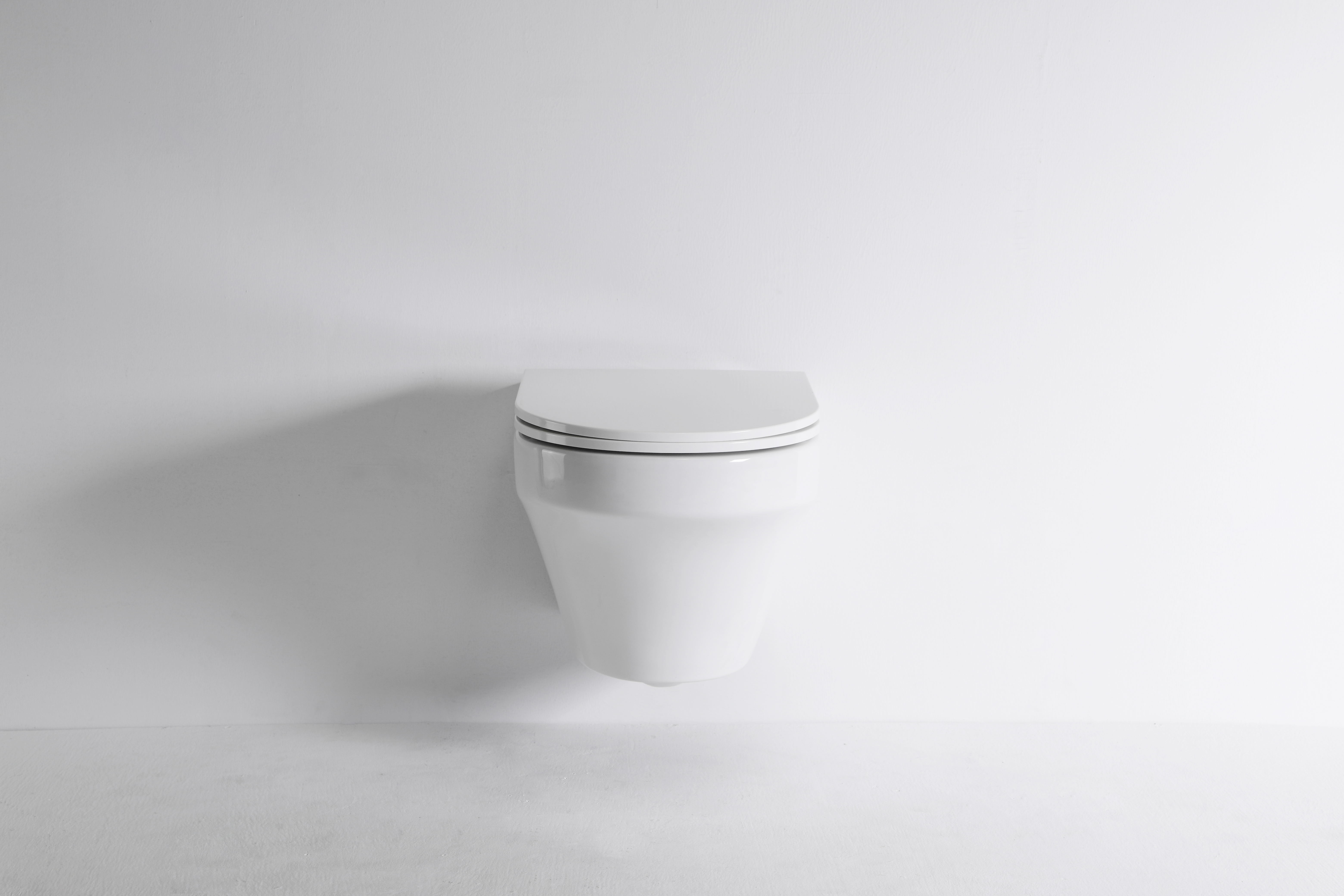 Curved Wall-Hung Toilet 2462E – Modern Ceramic WC with Soft Close Seat & Rimless Design