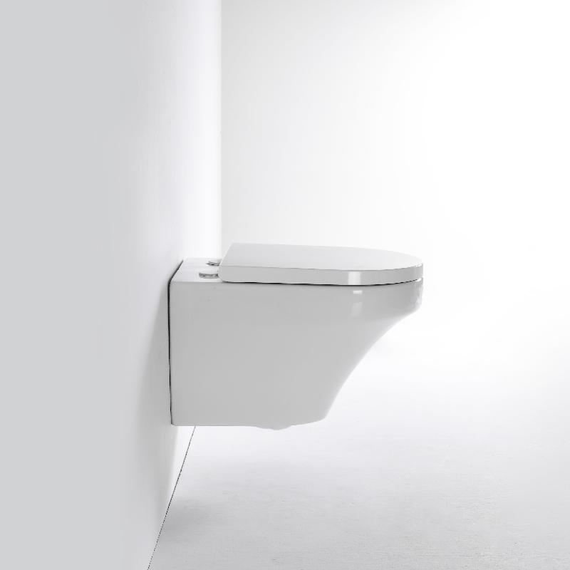 2462 Wall-Hung Toilet – Space-Saving, Silent Flush, Hygienic Rimless Design