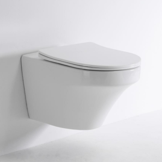 Modern Wall Hung Toilet 2462D - Compact Ceramic Rimless WC with Soft Close Seat