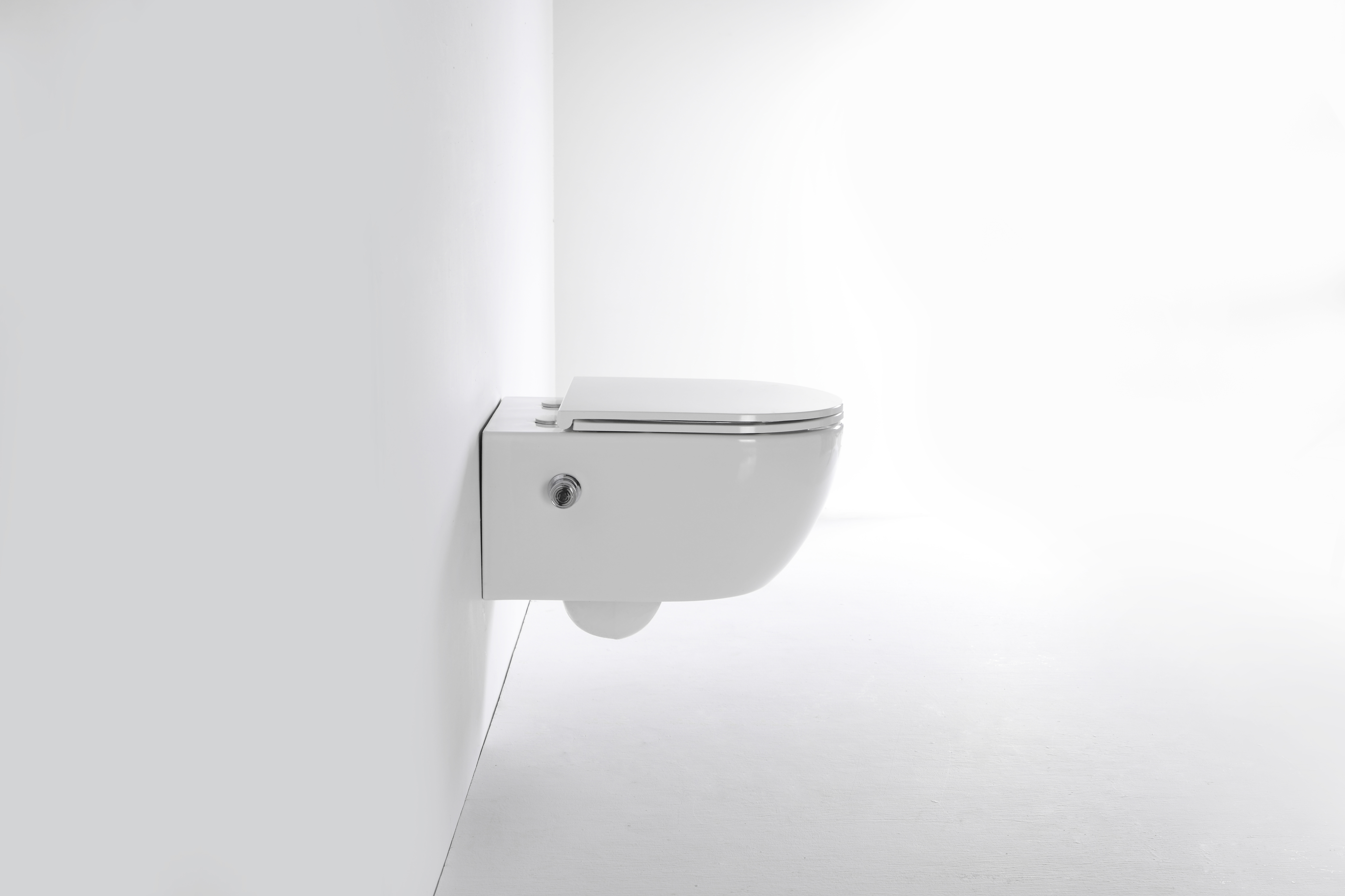 2468E-BD Wall-Hung Toilet with Integrated Bidet – Clean & Comfortable