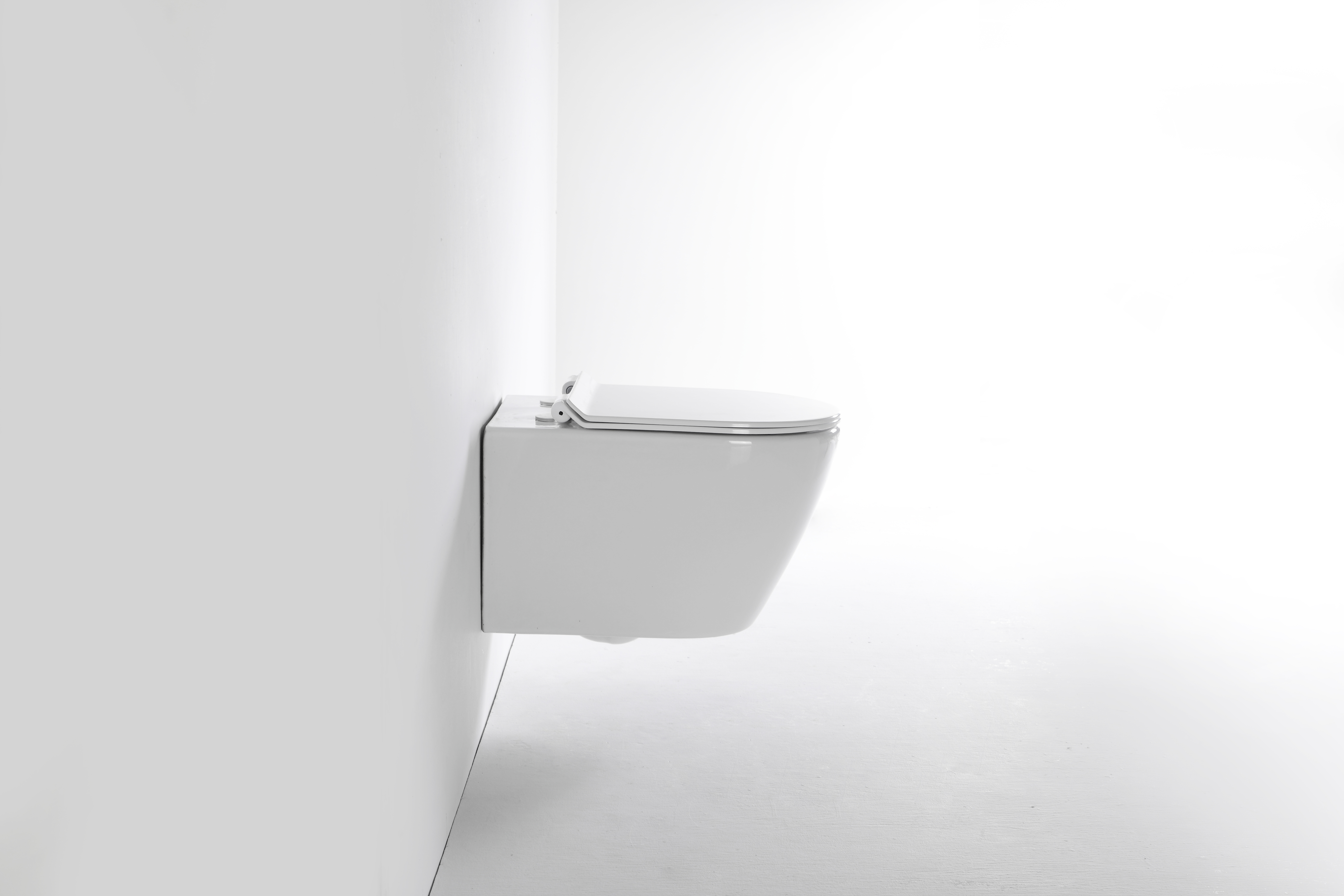 Minimalist Wall-Hung Toilet with Soft Close Lid