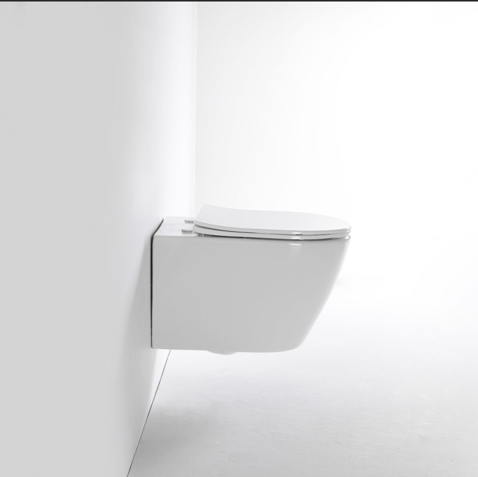 Wall Hung Toilet 2476D - Modern Rimless Ceramic Toilet Bowl with Soft-Close Seat