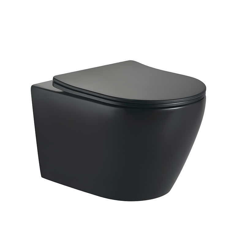 How to Choose a Practical Wall Hung Toilet for Your New Home