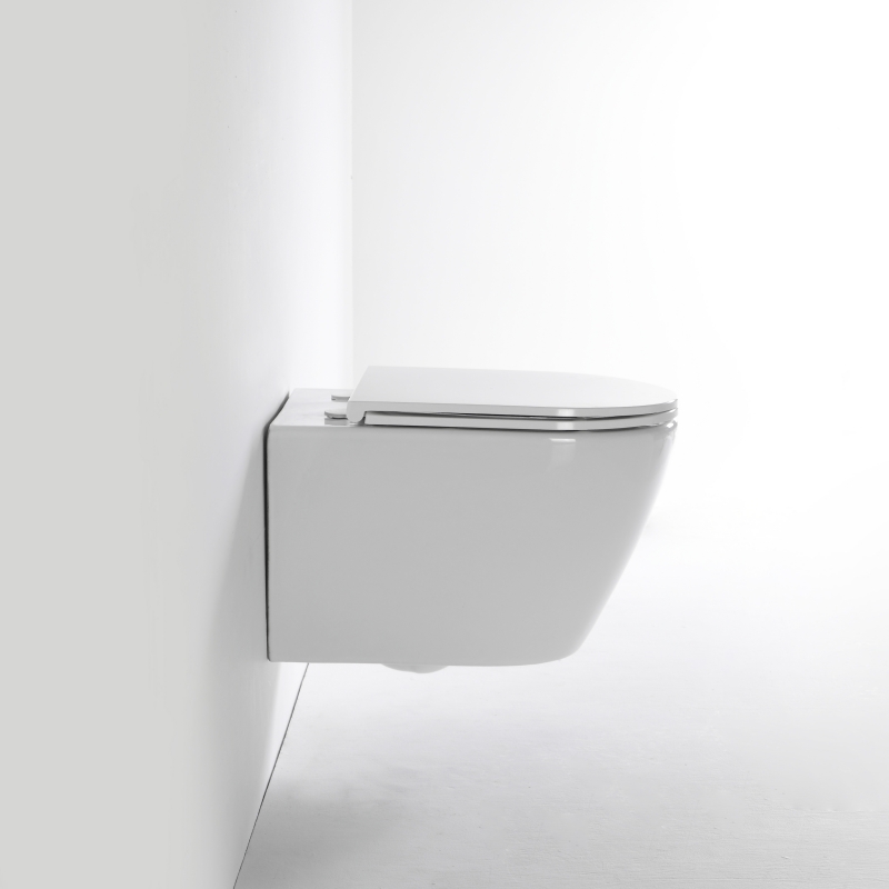 2476E Wall-Hung Toilet