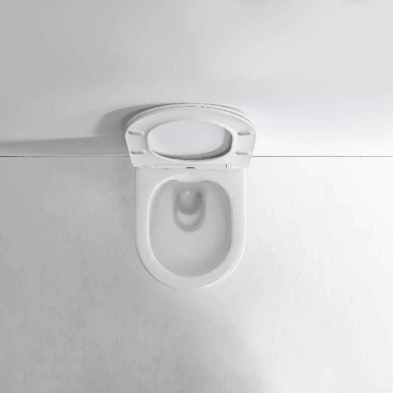 Minimalist Wall-Hung Toilet - Modern Compact Design with Soft-Close Seat