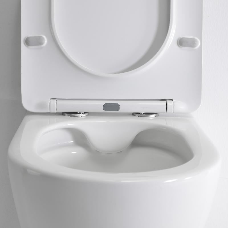 Minimalist Wall-Hung Toilet - Modern Compact Design with Soft-Close Seat