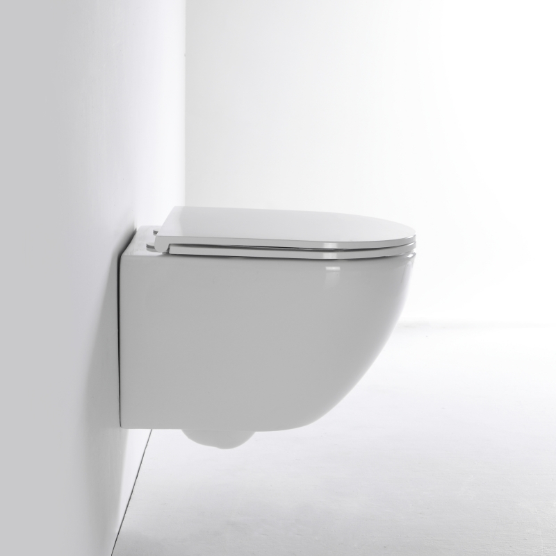 2478E Wall-Mounted Toilet