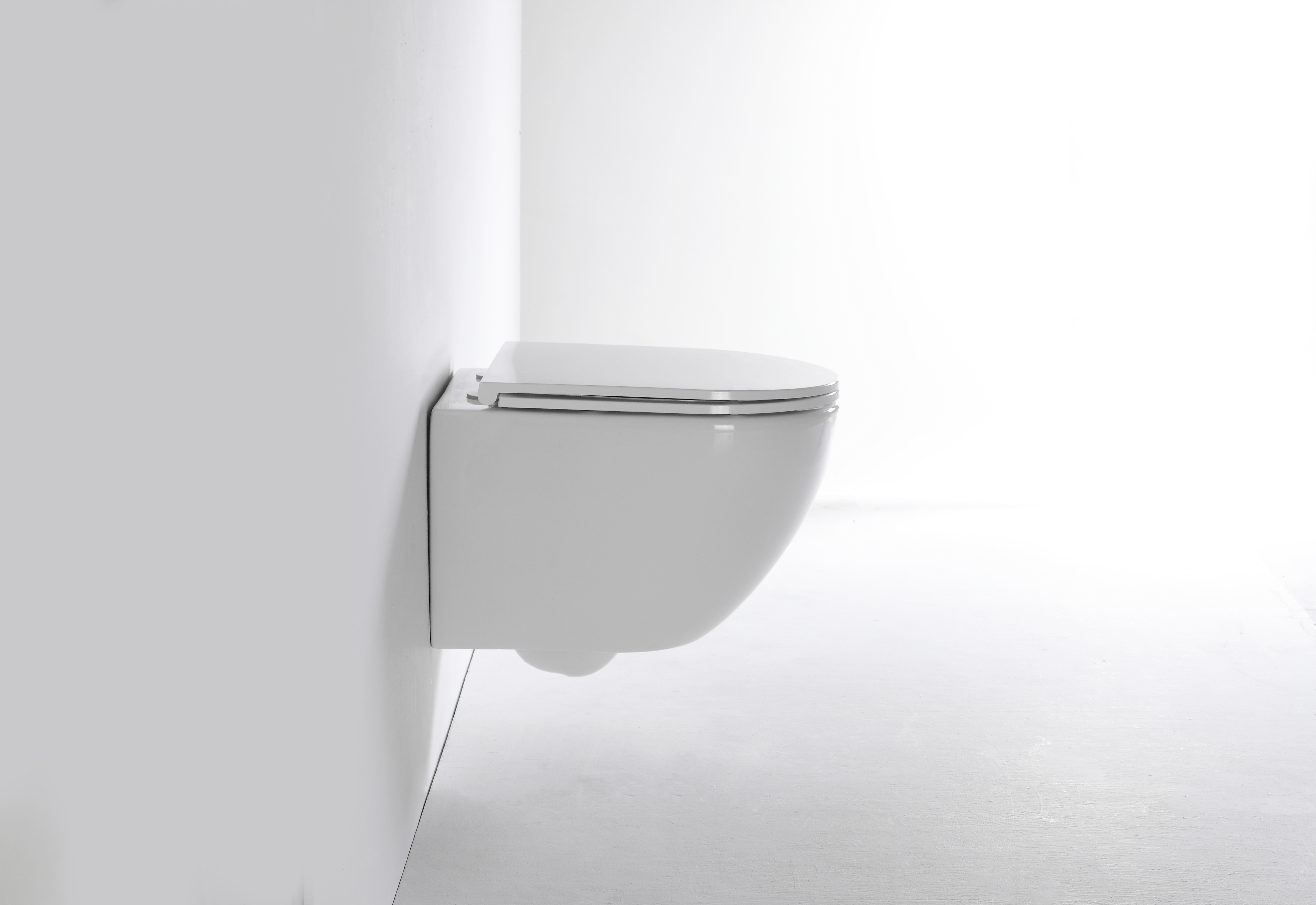 2478E Wall-Mounted Toilet
