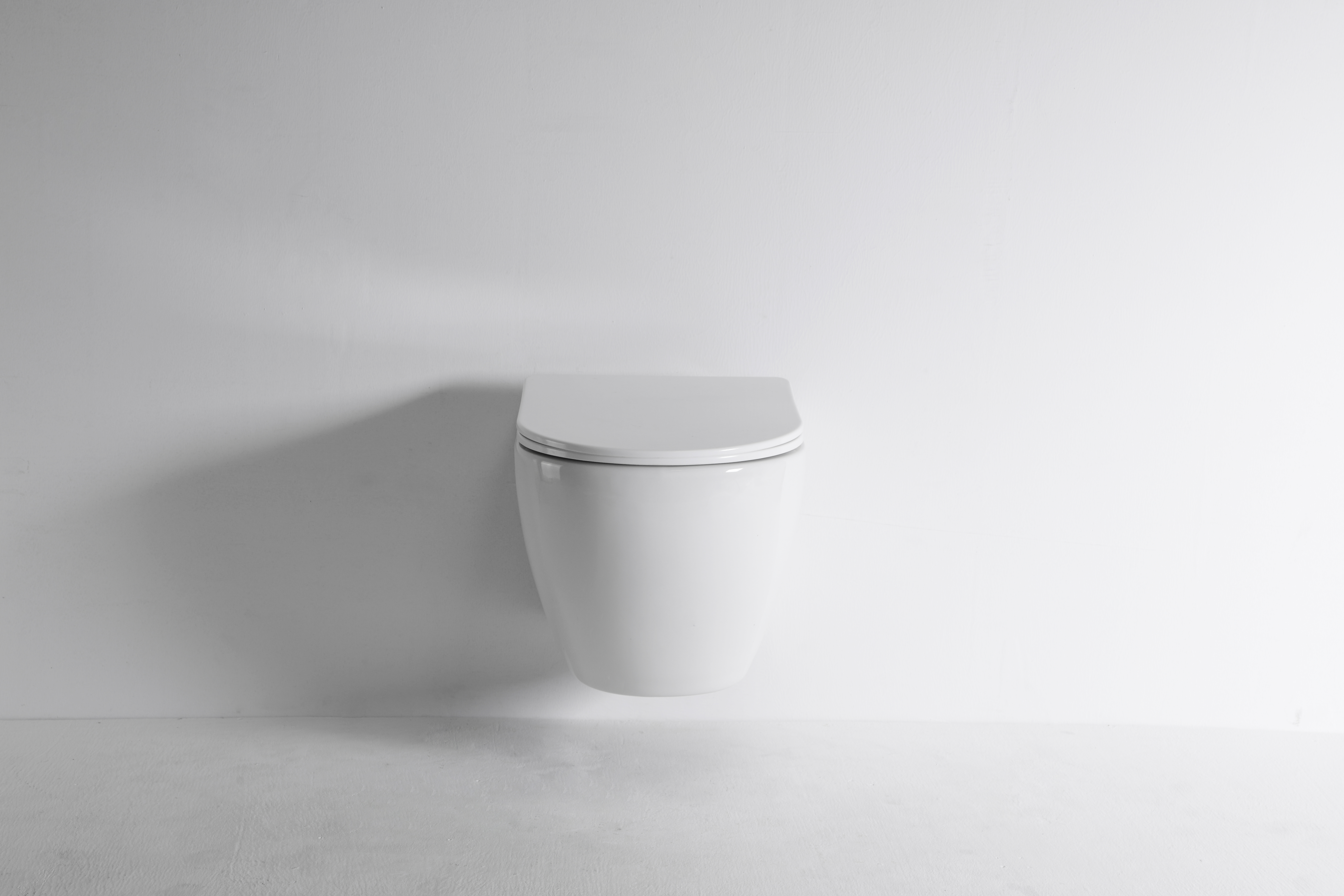 Contemporary Wall-Hung Toilet 2479D – Rimless Modern Ceramic WC