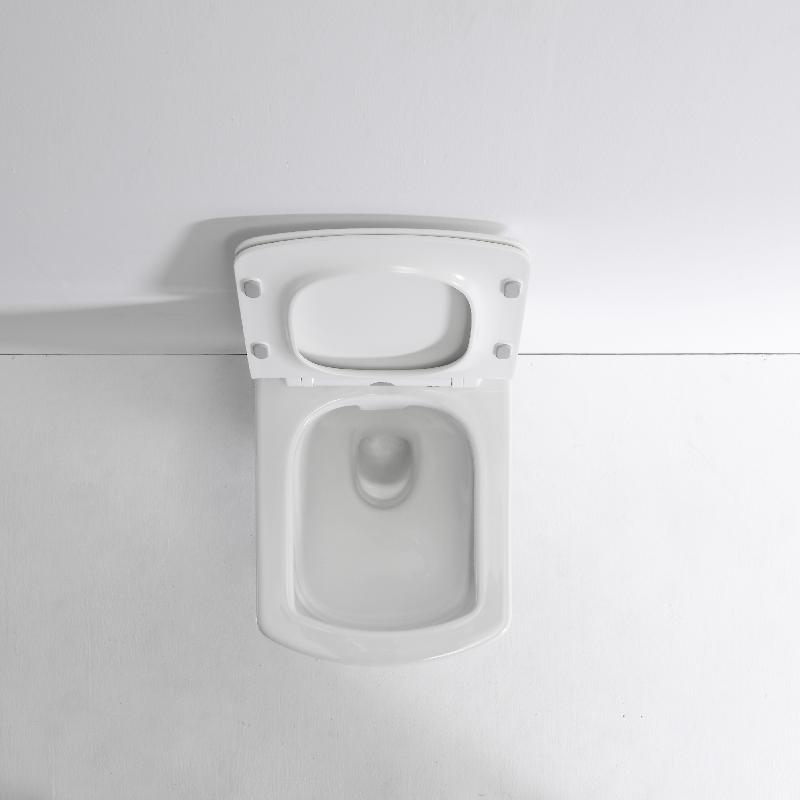 BF2496 Modern Wall-Hung Quiet Flush Toilet with Soft-Close Seat and Space-Saving Design