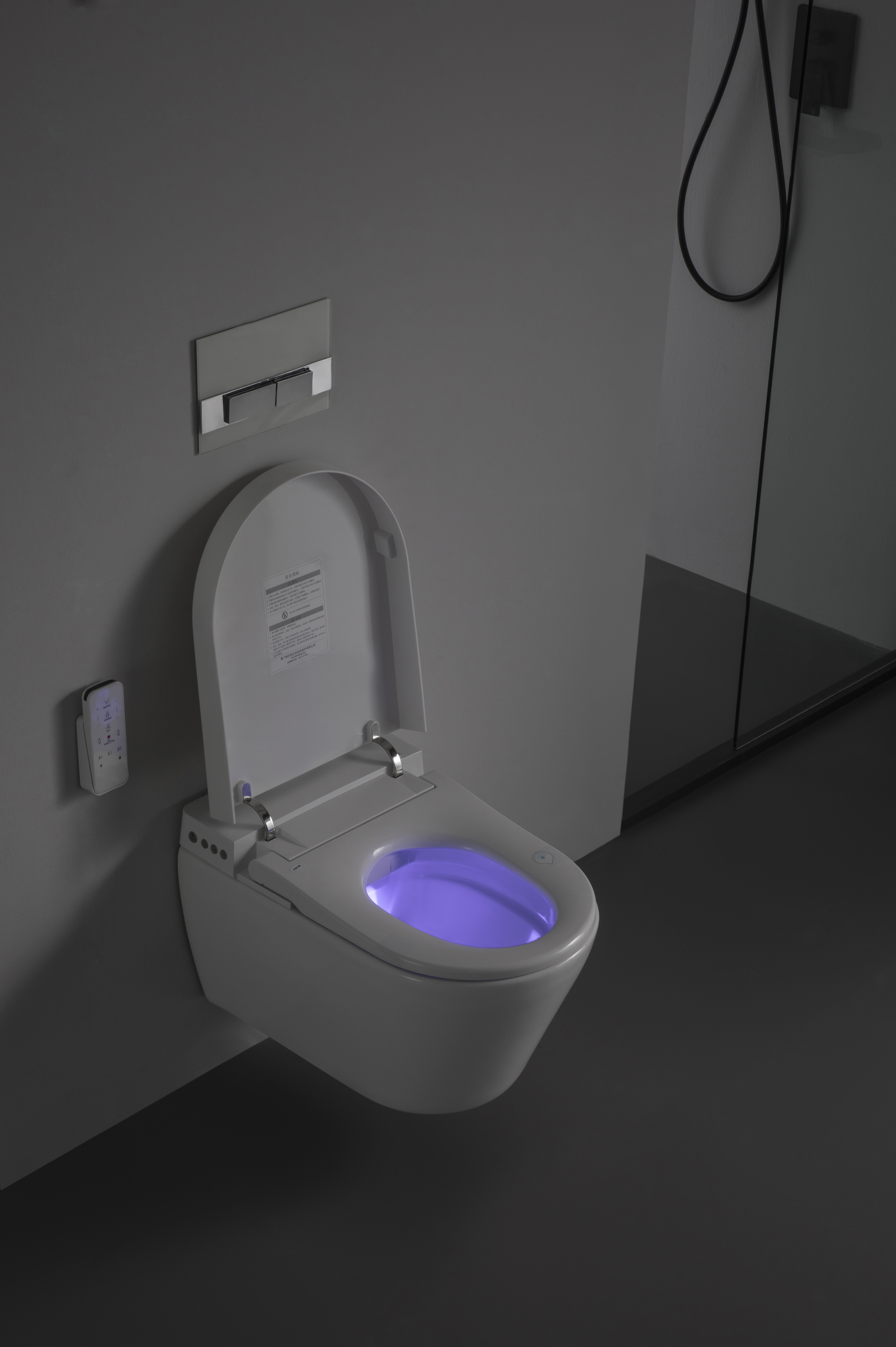 BF2497 Intelligente Wandtoilette mit modernen Funktionen