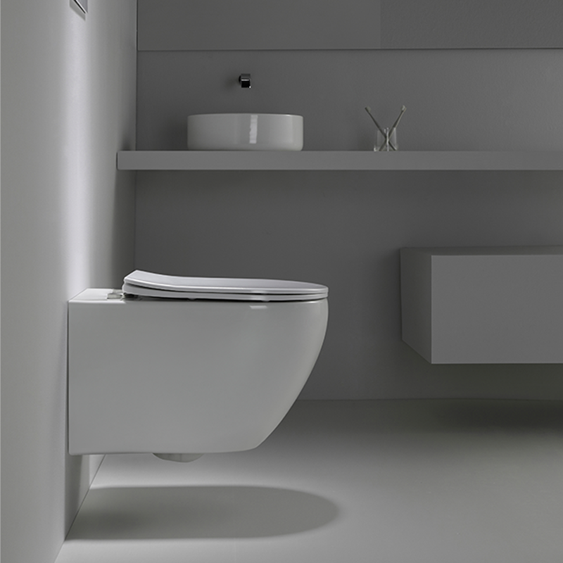 2416D Super Swirl Wall-Hung Toilet