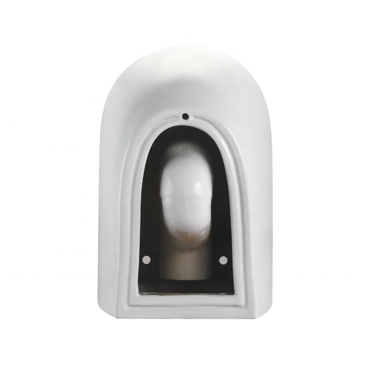 2416D Super Swirl Wall-Hung Toilet
