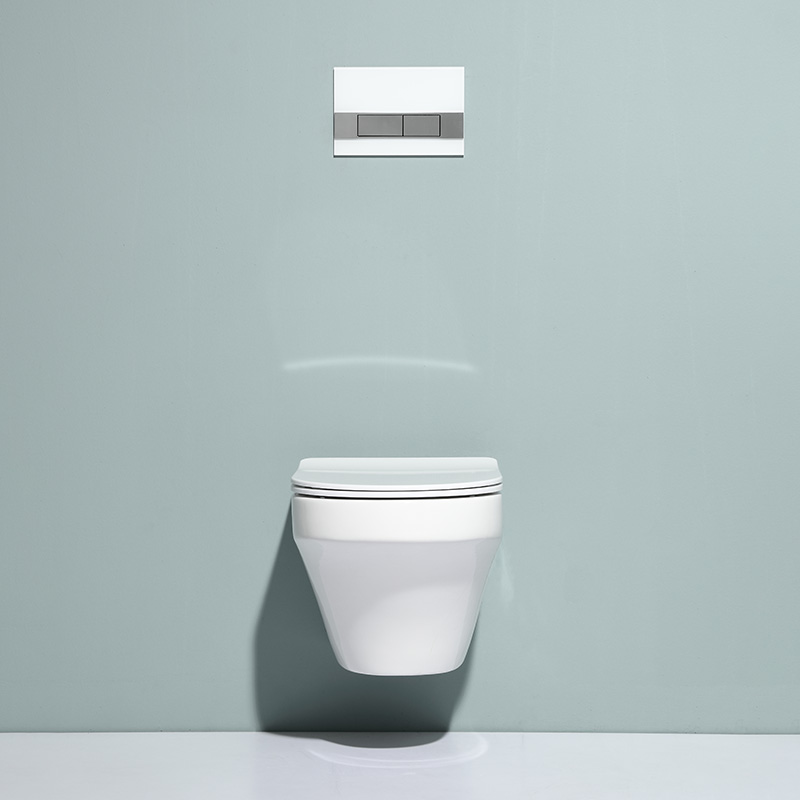 2462D Wall-Hung Toilet