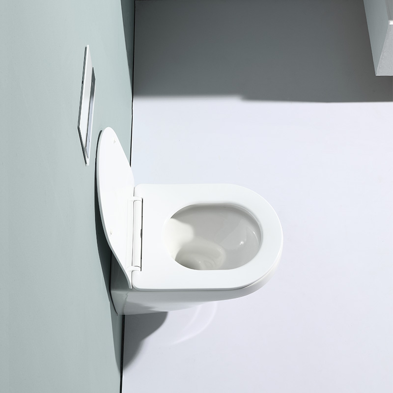 2462D Wall-Hung Toilet