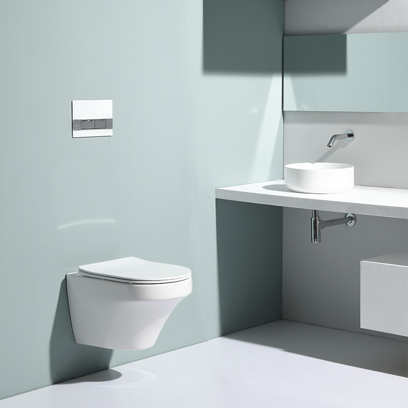 2462D Wall-Hung Toilet