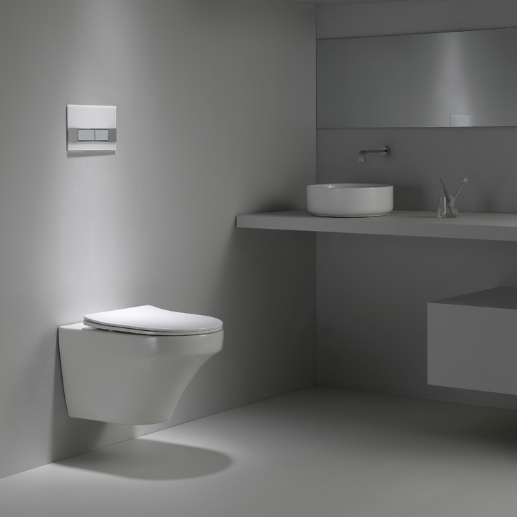 2462D Wall-Hung Toilet