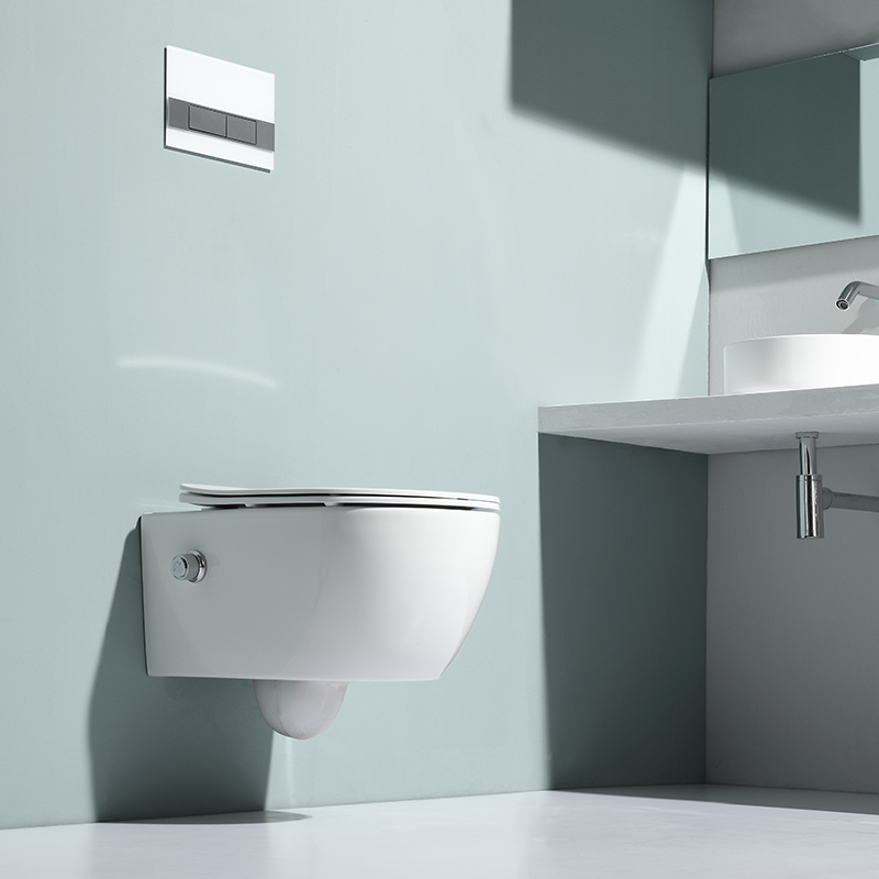 Wall Hung Toilet with Bidet Function – Compact Hygienic White Ceramic WC (Model: 2468D-BD)