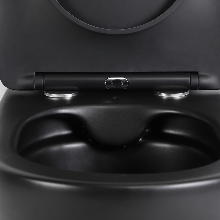 Wall-Hung Toilet - Model 2478 Matte Black