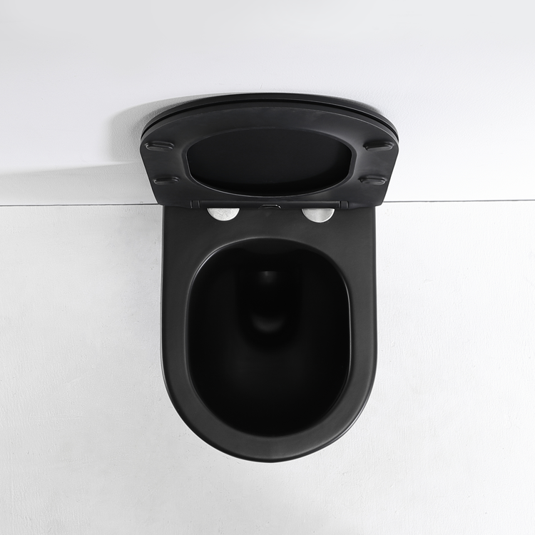 Wall-Hung Toilet - Model 2478 Matte Black