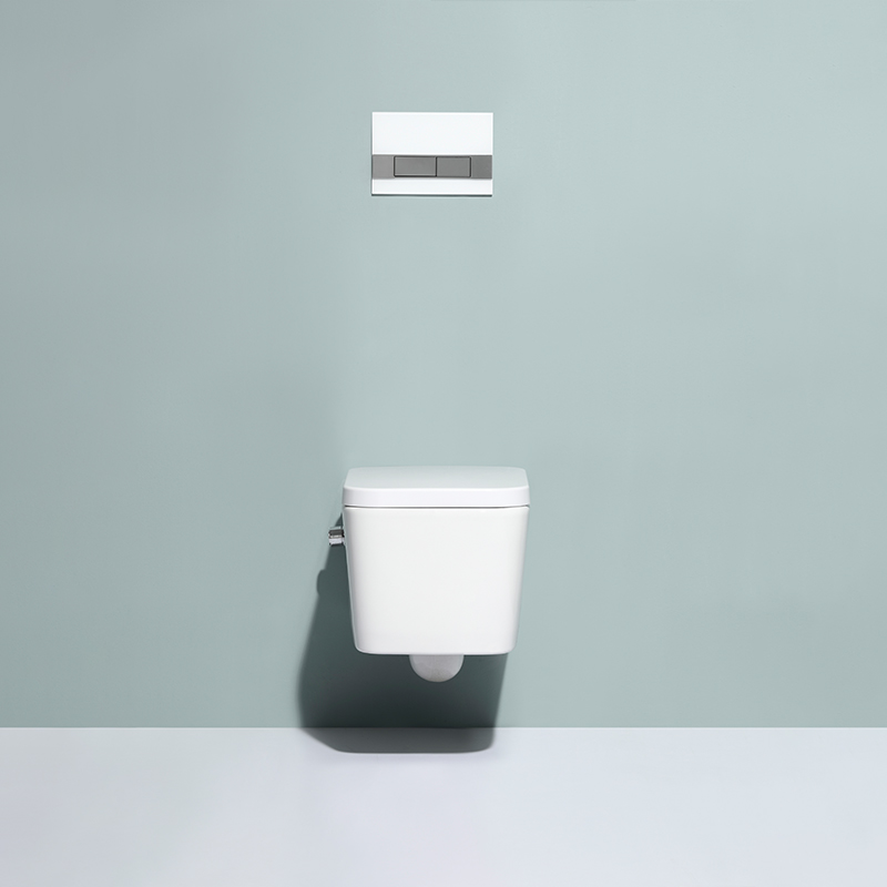 BF2467-BD Rimless Wall Hung Toilet with Built-in Shower
