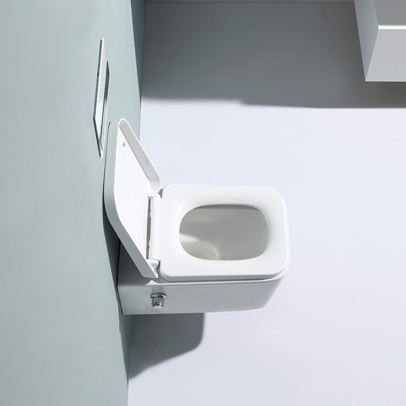 BF2467-BD Rimless Wall Hung Toilet with Built-in Shower