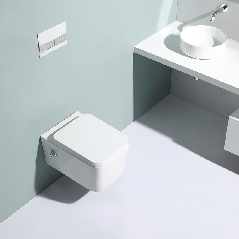 BF2467-BD Rimless Wall Hung Toilet with Built-in Shower
