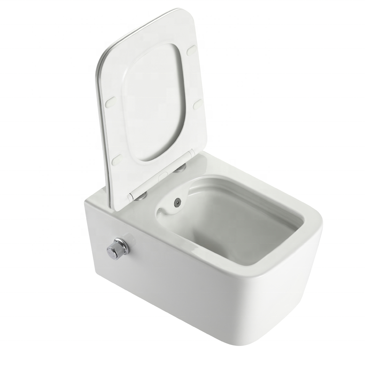 Modell 2467D-BD – Randloses wandhängendes WC mit integrierter Duschfunktion & Soft-Close Sitz
