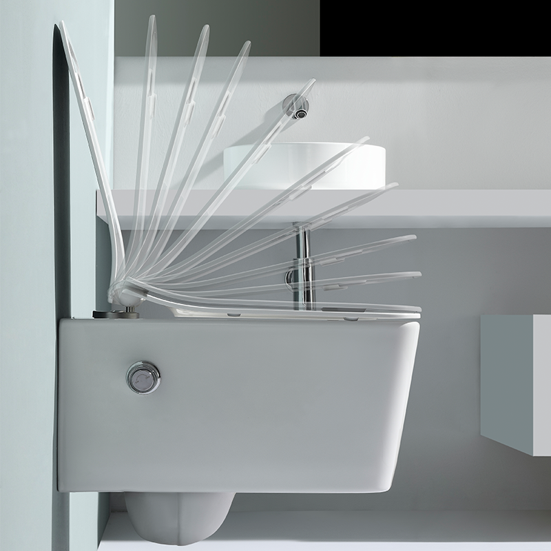 Modell 2467D-BD – Randloses wandhängendes WC mit integrierter Duschfunktion & Soft-Close Sitz