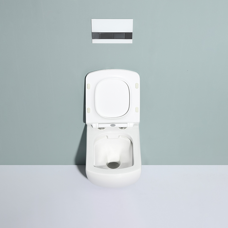 Настенный унитаз 2496 – Современный, компактный, безободковый, экономичный и бесшумный