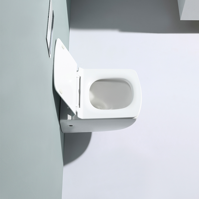 2496 Wall-Mounted Toilet