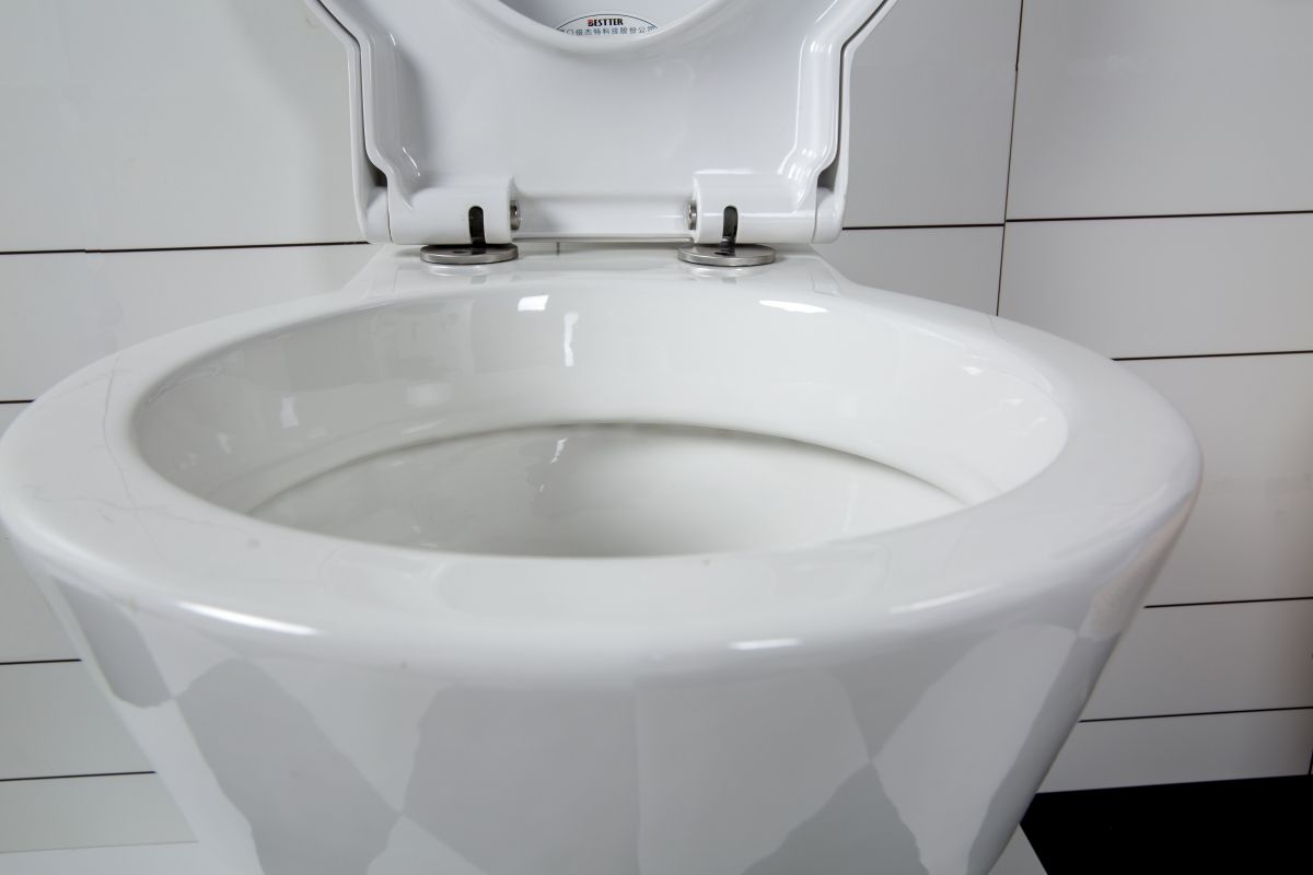 BEFEN Wall Hung Ceramic Toilet Dual Flush Concealed Tank