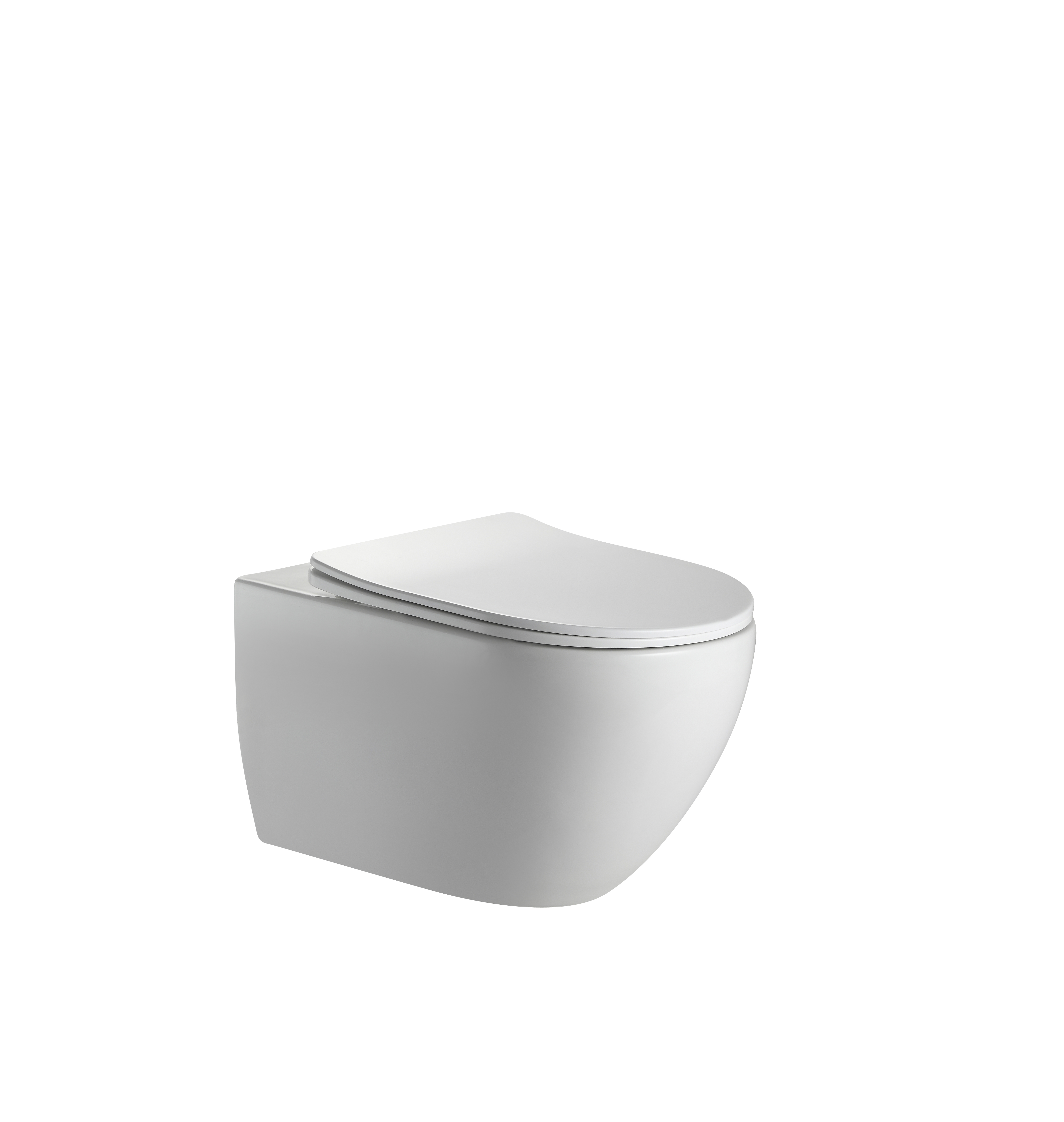 BF2416D Modern Minimalist Wall Hung Toilet – Soft Close, Compact Rimless Design