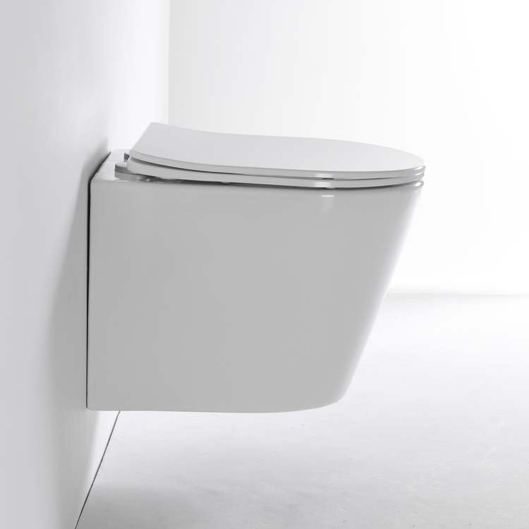 Benfen2422D Wall-Hung Ceramic Toilet with Anti-Stain Glaze and Soft Close Seat