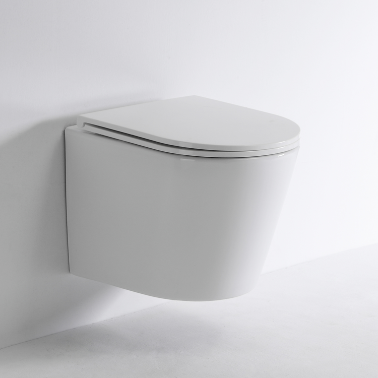 Wall-Mounted Toilet Ceramic Modern Design with Dual Flush System